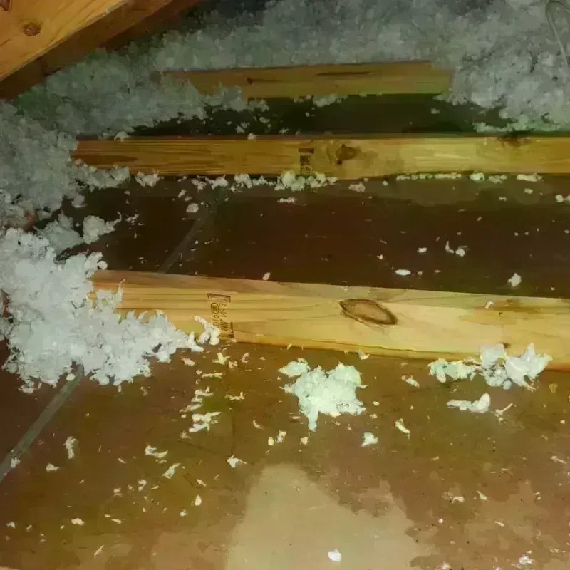 Attic Water Damage in Roberts, WI