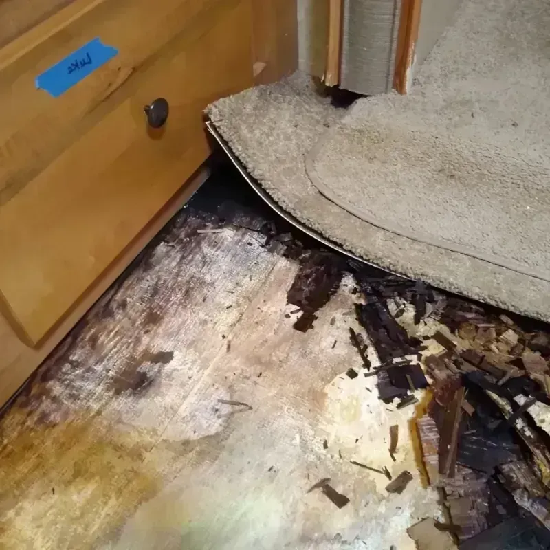 Wood Floor Water Damage in Roberts, WI